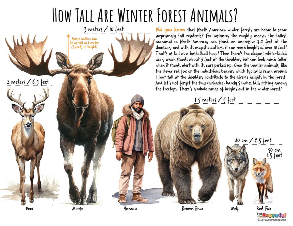 Winter Forest Animals Size Chart homeschool printables