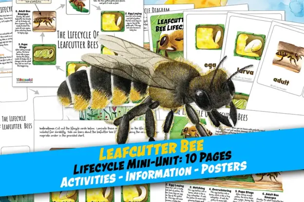 Leafcutter Bee Lifecycle Homeschool printables classroom nature science worksheets