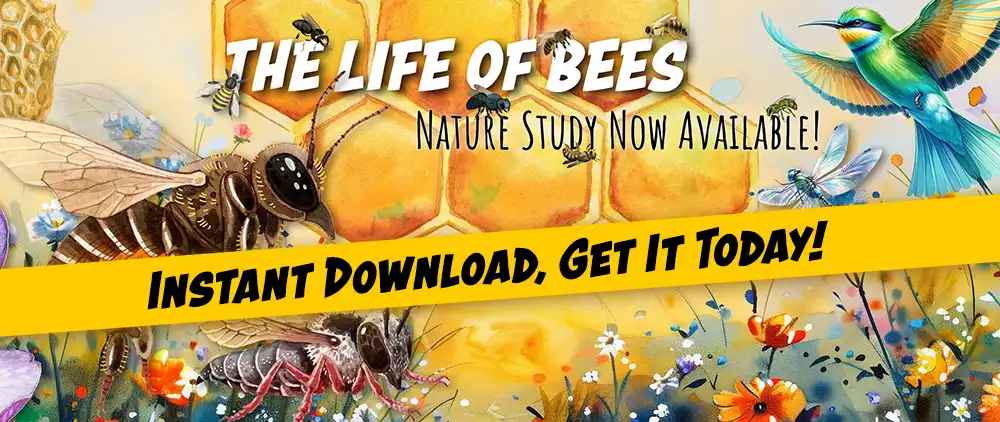 Life Of Bees Nature Study - Home School Printables Classroom Use