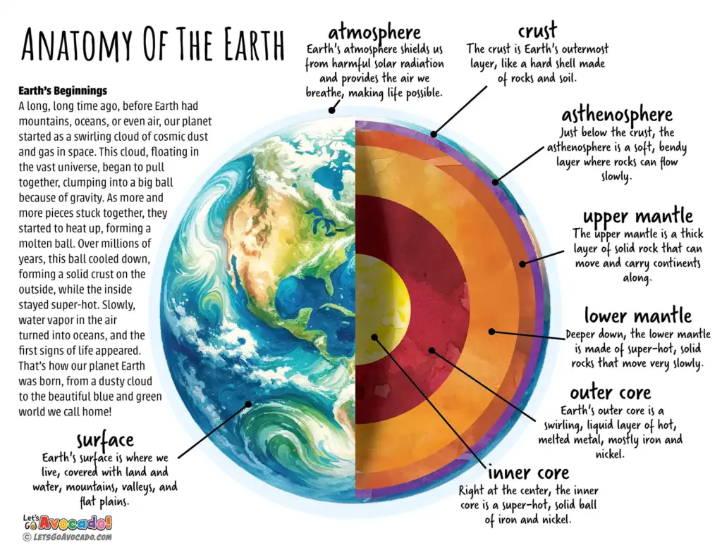 planet earth anatomy homeschool printables