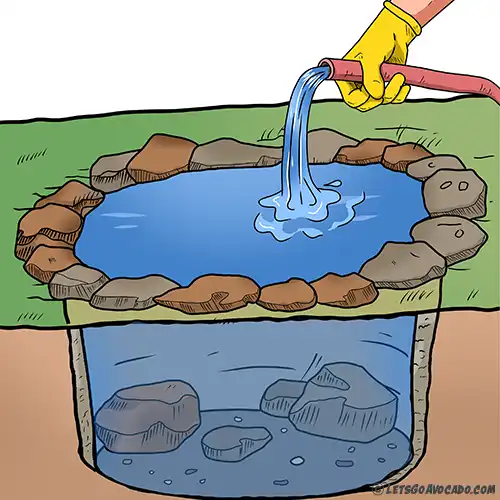 DIY Wildlife Pond Steps - Homeschool Activities