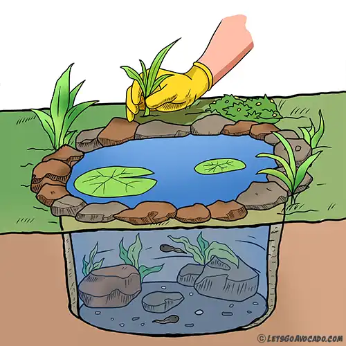 DIY Wildlife Pond Steps - Homeschool Activities