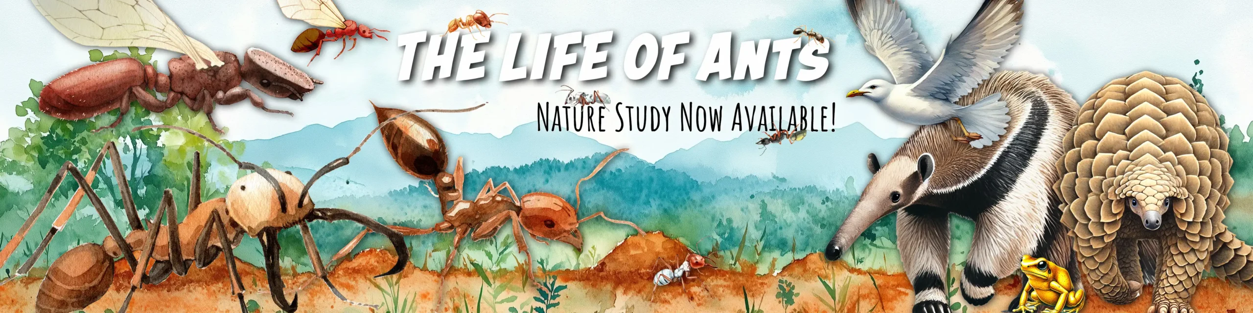 Ants Nature Study Unit