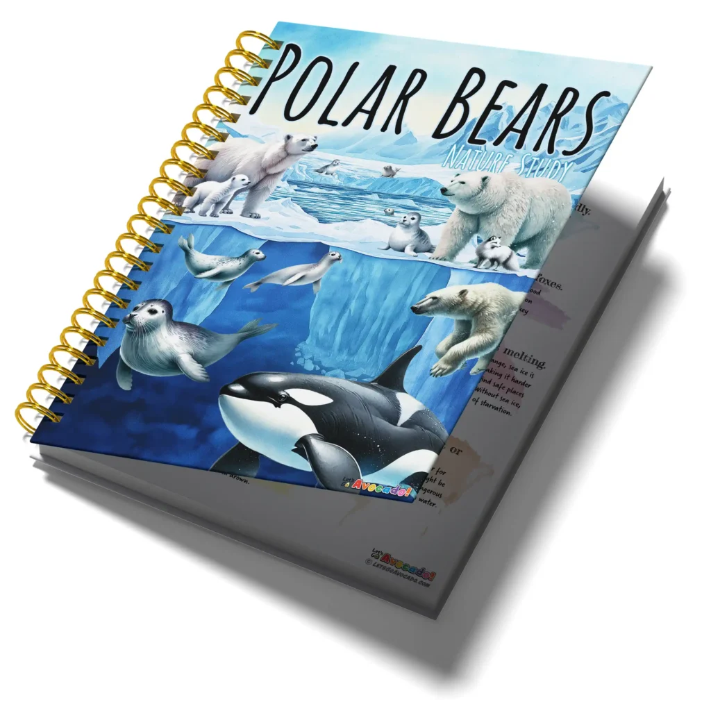 Polar Bear Nature Study Homeschool Printables Unit Study