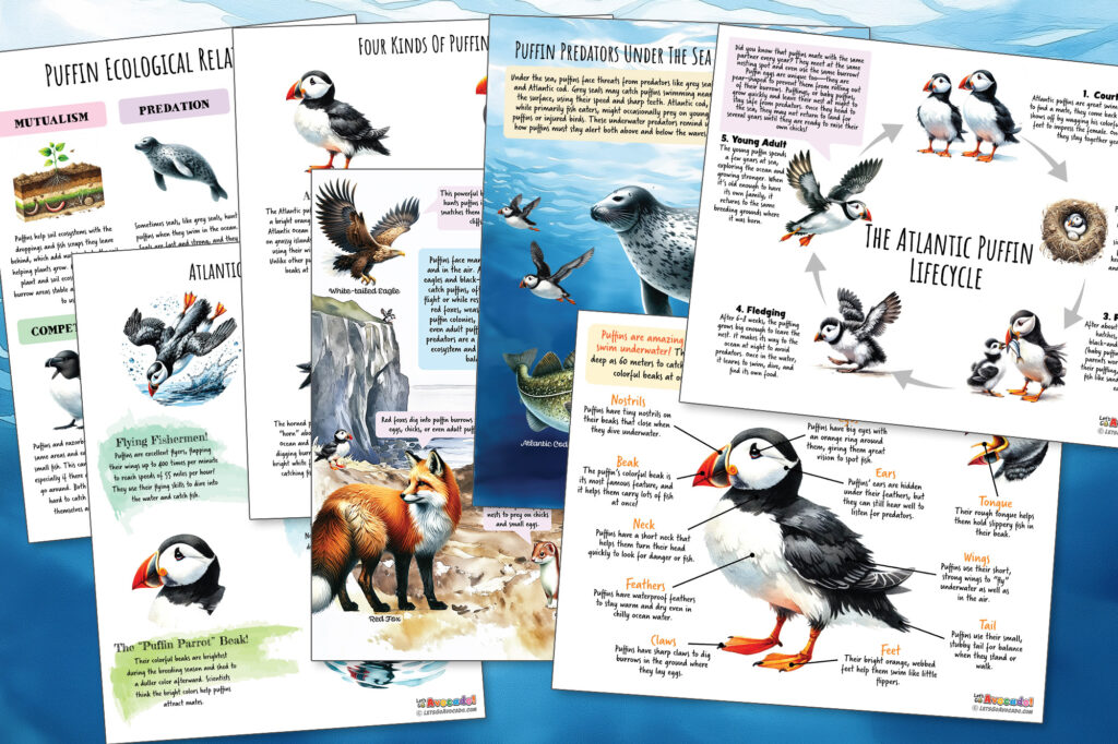 Puffin Posters Homeschool Printables